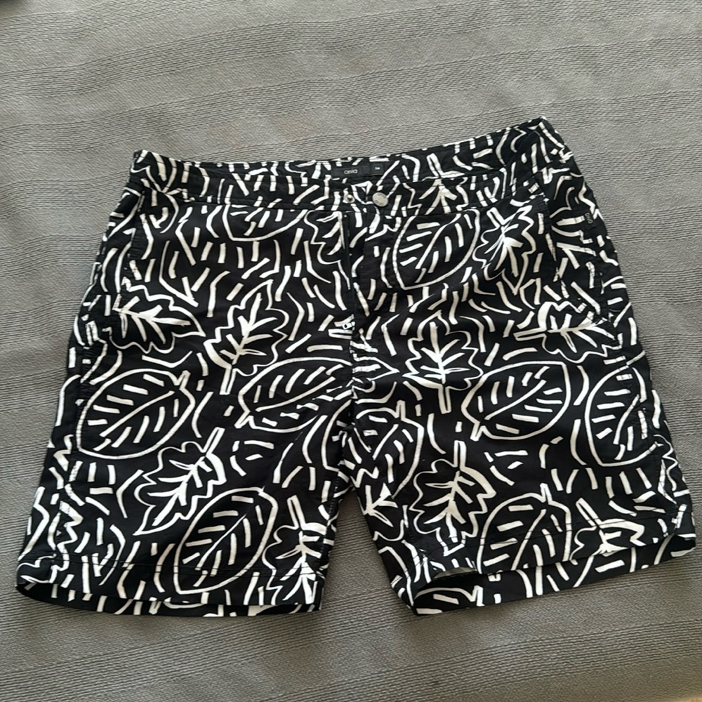 Onia Swim Trunks (34)